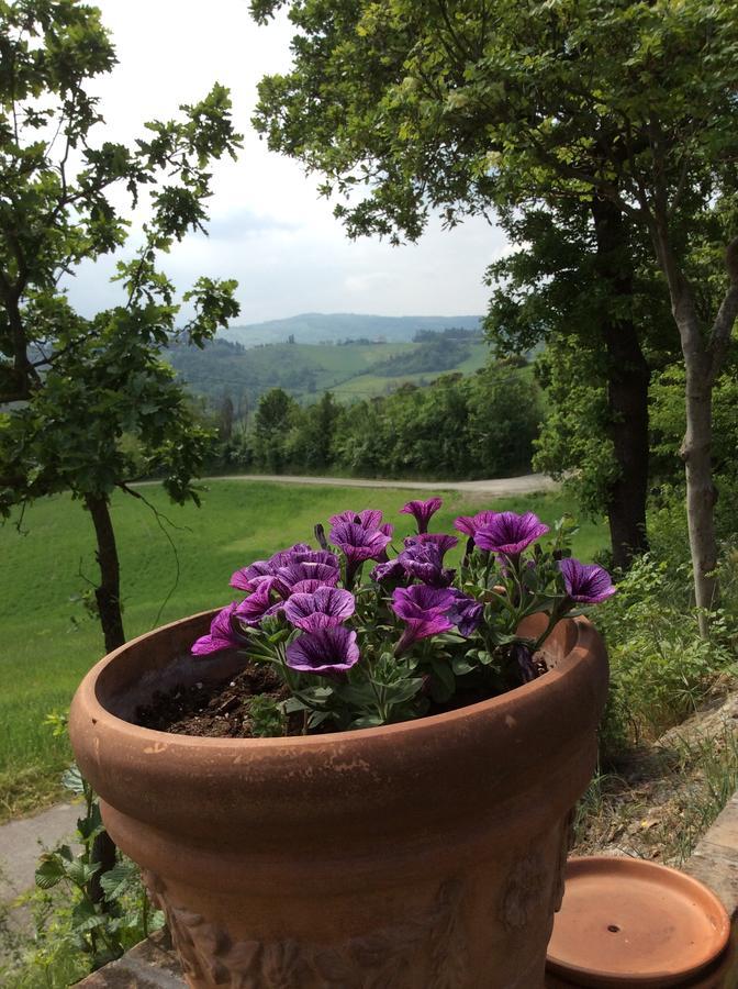 Agriturismo Ca Lunati Hotel Castelletto Mendosio Buitenkant foto